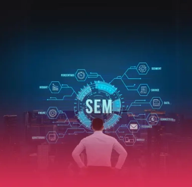 Freelance digital marketer in Qatar A man from behind looks up at a glowing blue holographic diagram displaying "SEM" at its centre, surrounded by interconnected icons representing concepts like Percentage, Segment, Engage, Data, Connect, Feedback, Mobile, Monitor and Insight on a dark city-like background